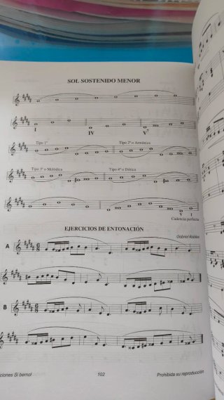 Libro Lenguaje Musical Melódico V - Grado Medio