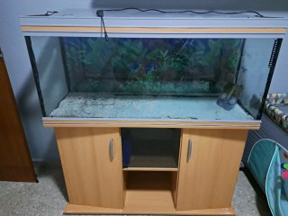 Acuario con mueble marrón