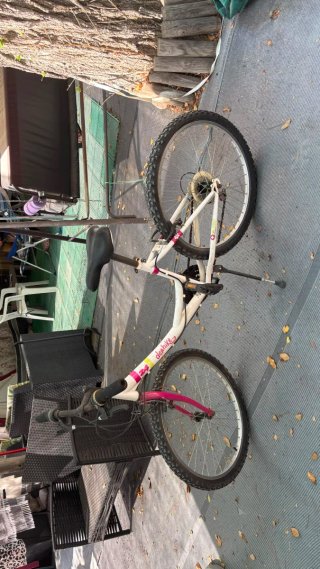 Bicicleta Montaña Blanca y Rosa
