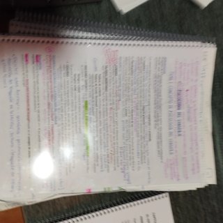 Libro de psicología del lenguaje