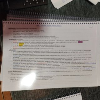 Libro de psicología del lenguaje