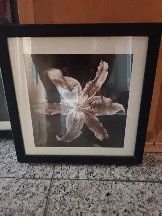 Espejo decorativo blanco y dorado. Cuadros decorat