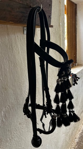 Cabezada Vaquera, Nueva