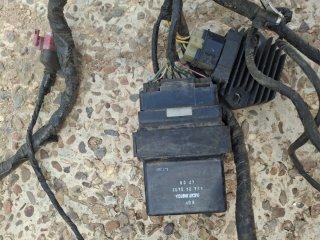 Cableado Honda Dylan Completo