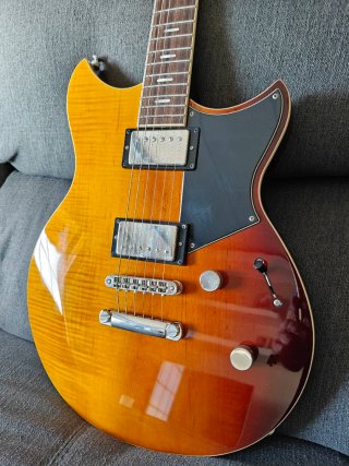 Yamaha Revstar RSS20