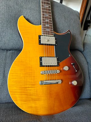Yamaha Revstar RSS20