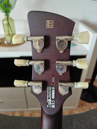 Yamaha Revstar RSS20