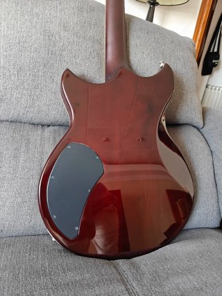 Yamaha Revstar RSS20
