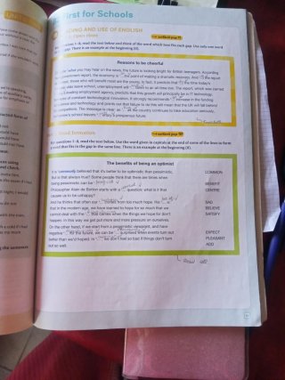 Thinking Space B2 Student's Book with Workbook ...
