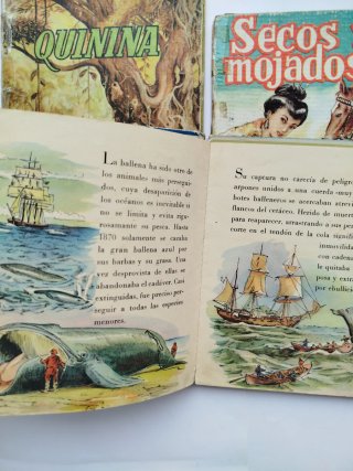 Libros Colección Áurea infantil