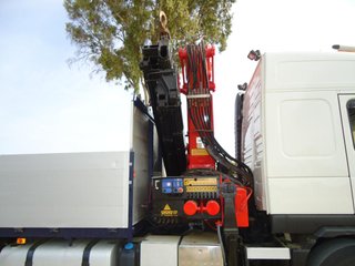 Volvo FM 440-CAMIONES GRUAS