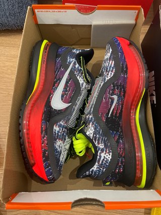 Nike Pegasus Premium Multicolor