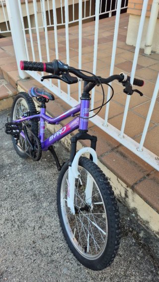 Bicicleta Morada Infantil B-PRO rueda 20"