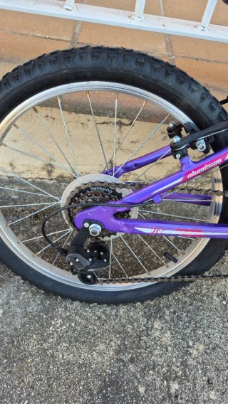 Bicicleta Morada Infantil B-PRO rueda 20"