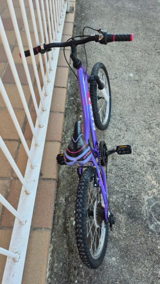 Bicicleta Morada Infantil B-PRO rueda 20"
