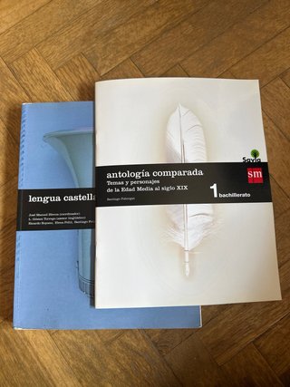 Lengua castellana y literatura 1 Bachillerato SM