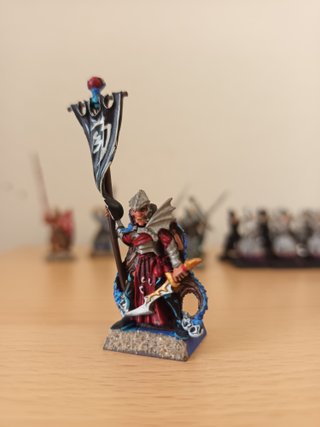 Warhammer– 13 Corsarios Elfos Oscuros