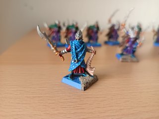 Warhammer– 13 Corsarios Elfos Oscuros
