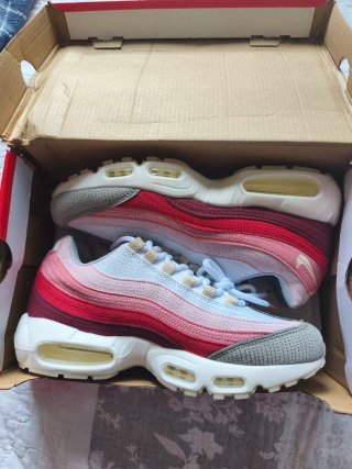 Zapatillas Nike Air Max 95 anatomy of air