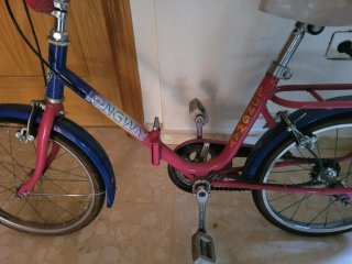 Bicicleta plegable LONGWAY