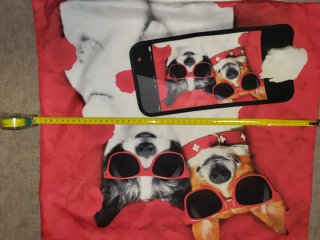 Funda Cojín 50x50cm Perros Gafas de Sol