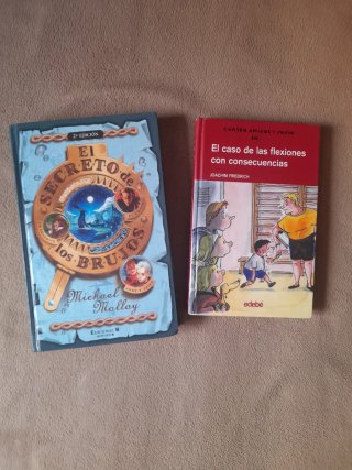 Libros infantiles juveniles escolares