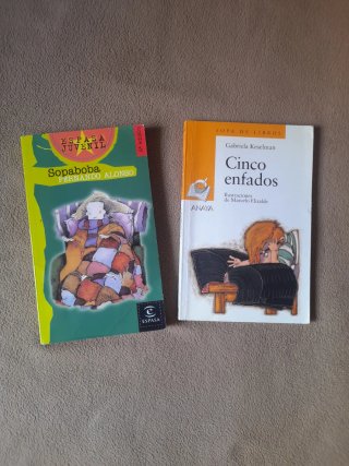 Libros infantiles juveniles escolares