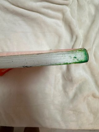 Libro LLENGUA CATALANA I LITERATURA 2 ESO