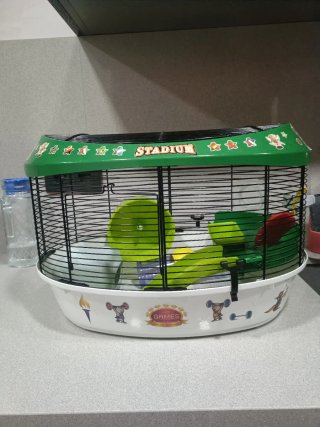 Jaula hamster