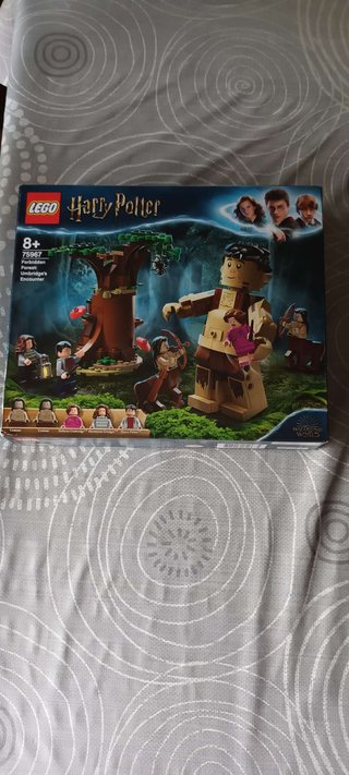 Lego 75967 Harry Potter