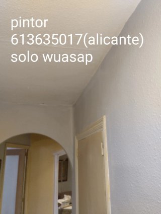 Pintor rápido y económico