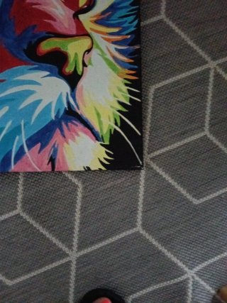 Cuadro gato multicolor