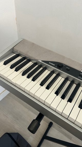 Piano Digital Casio Privia PX-310 +Soporte+Funda