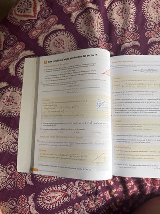 Revola 4 secundària : matemàtiques