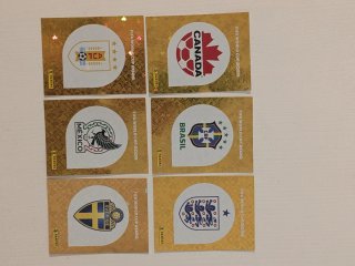 Lote 40 escudos UNITED EDITION panini cromos