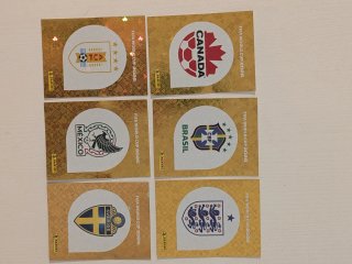 Lote 40 escudos UNITED EDITION panini cromos