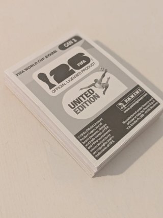 Lote 40 escudos UNITED EDITION panini cromos