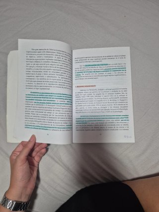 Psicología del trabajo y de las organizaciones ...