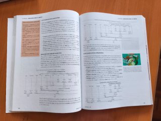 Lengua castellana y literatura 1 Bachillerato