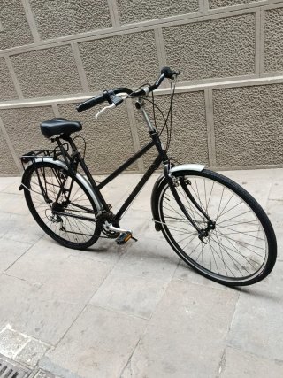 Bicicleta Holandesa