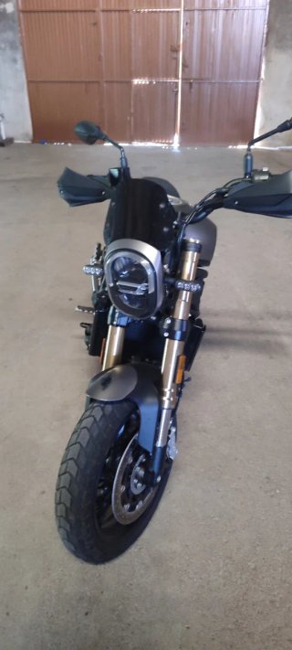 Benelli Leoncino 800