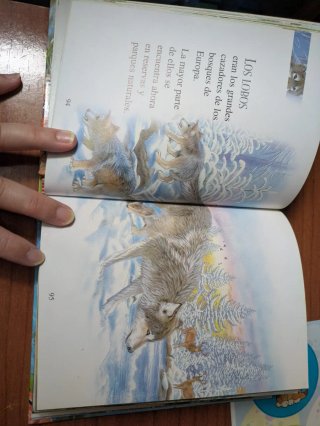 Pack de libros infantiles sobre animales y Pinocho