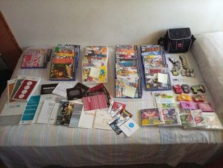 Lote Videojuegos DS, Wii, Game Boy