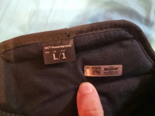 Arnés Julius-K9 IDC Power