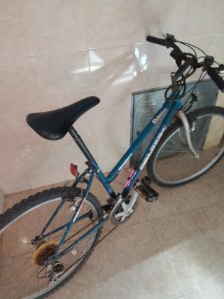 Bicicleta