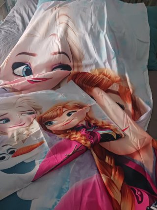 Funda Nórdica y Almohada Frozen