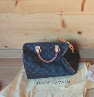 Bolso Louis Vuitton Speedy Marrón Beige