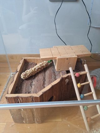 Terrario Jaula Hamster Cobayas Tortugas