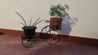 Macetero bicicleta para 2 plantas