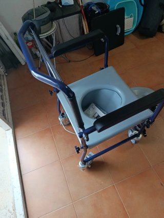 Silla inodoro